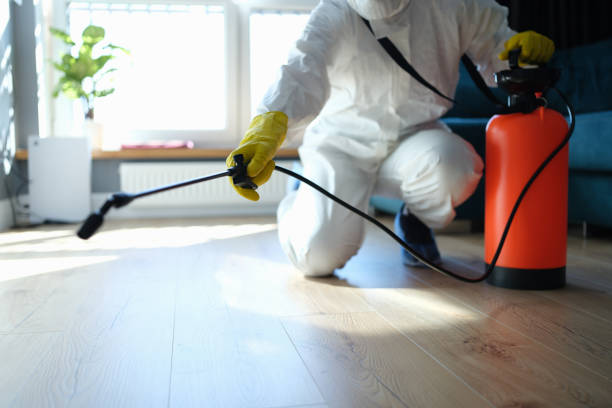 Reliable Infectious Disease Decontamination contractor in Hayden, ID by Trauma Clean Pros